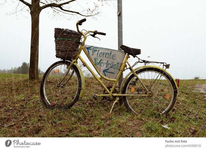 Ein Fahrrad als Wegweiser.. Hippiepower Werkstatt Lifestyle Mitarbeiter Reparaturwerkstatt Floral Flugzeugwartung Dienst Kleinunternehmen Menschen gelb bike
