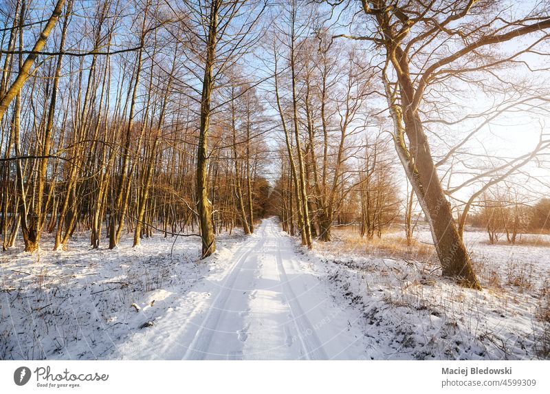 Schöne Winterlandschaft mit Landstraße. Schnee Landschaft Straße reisen schön Baum Sonne Natur Wald friedlich weiß kalt Saison im Freien Szene Wetter Ansicht