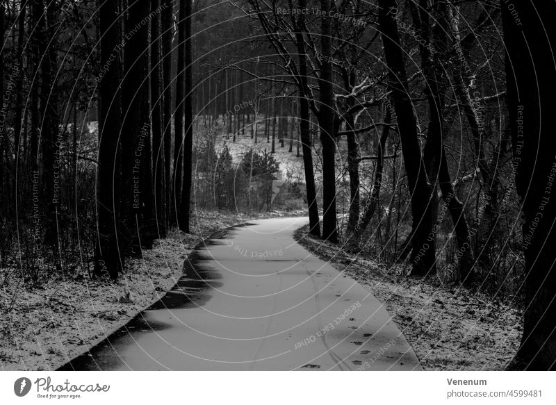 Kleiner schmaler Radweg in einem Wald im Winter mit ein wenig Schnee, Schwarz/Weiß Weg Licht Schatten Baum Bäume Saison Deutschland Nachmittag Fahrradweg