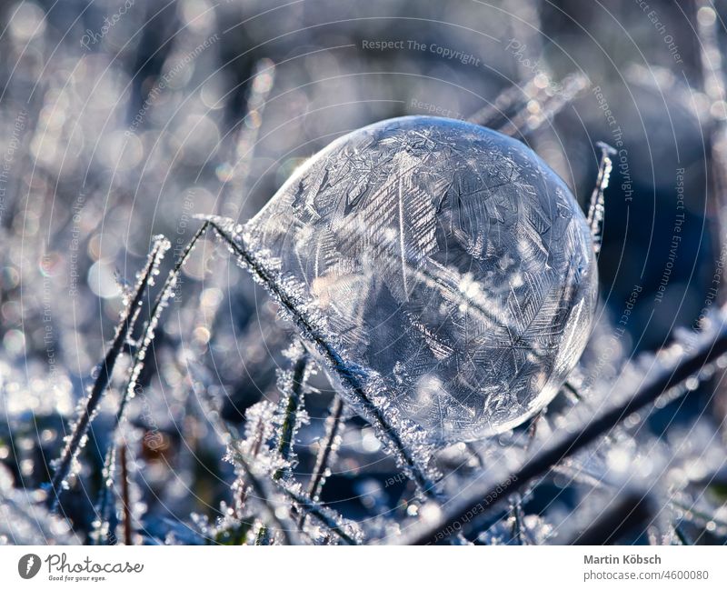 Seifenblase, auf der sich durch den Frost Eiskristalle gebildet haben. im Licht der untergehenden Sonne. Seifenblasen Kristallkugel Kristalle gefroren Winter