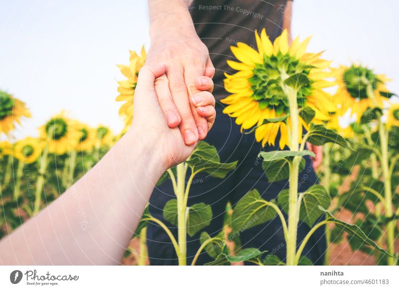 Paar, das Händchen hält in einem Feld von Sonnenblumen. Treue Arbeit Mitarbeiterin Partner loyal treu Liebe Hände Halt Händchenhalten nachhaltig Fairness Handel