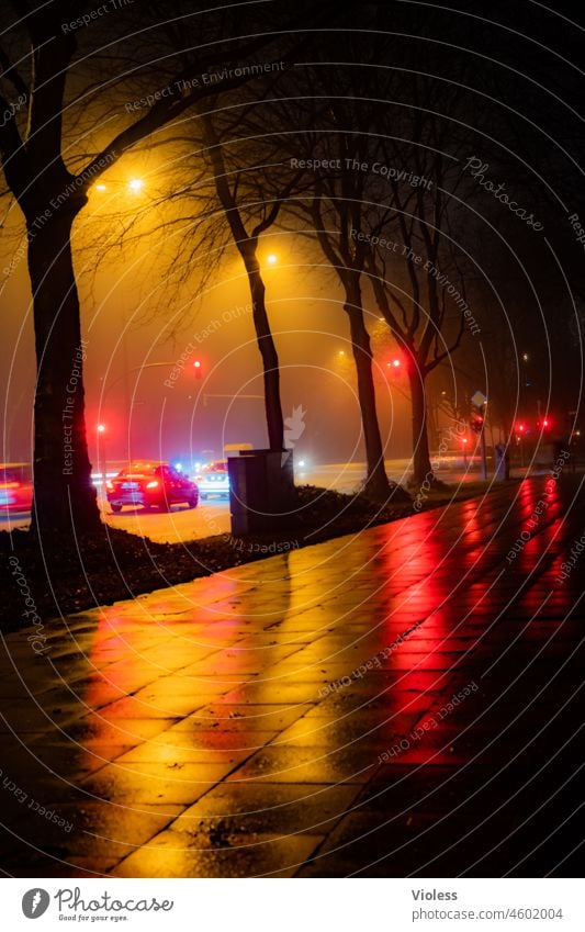 Nebel am Abend in der Stadt Dunst leuchten Fußgängerweg rot Ampel Auto Wetter Spiegelung nass feucht