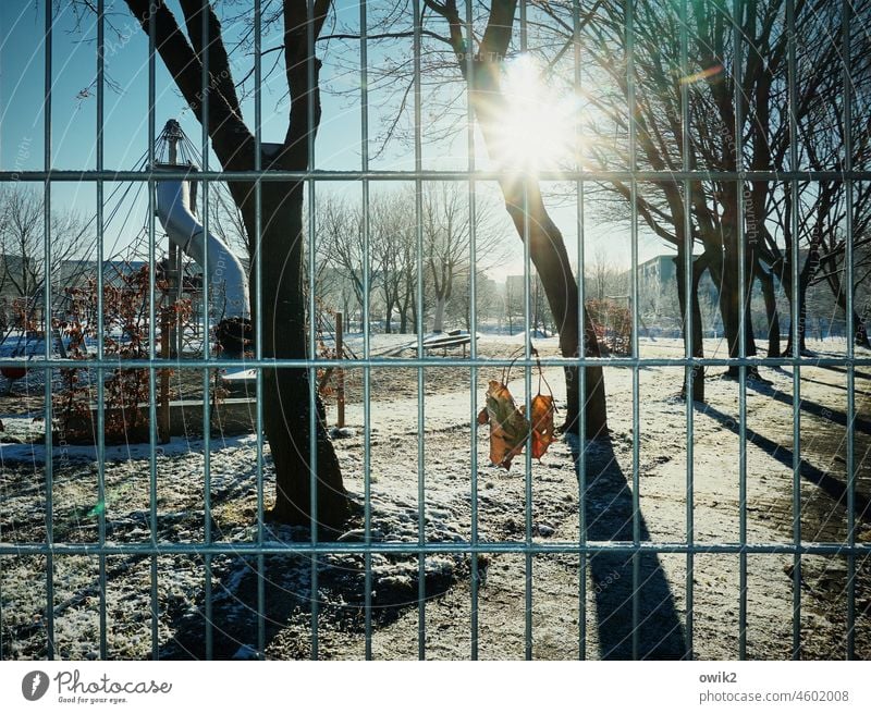 Spielraum Spielplatz eingezäunt Zaun Gitter Schutz Metall Laubblatt hängen Herbstlaub Durchblick Bäume Weg Winter Raureif Sonnenlicht Gegenlicht Schatten