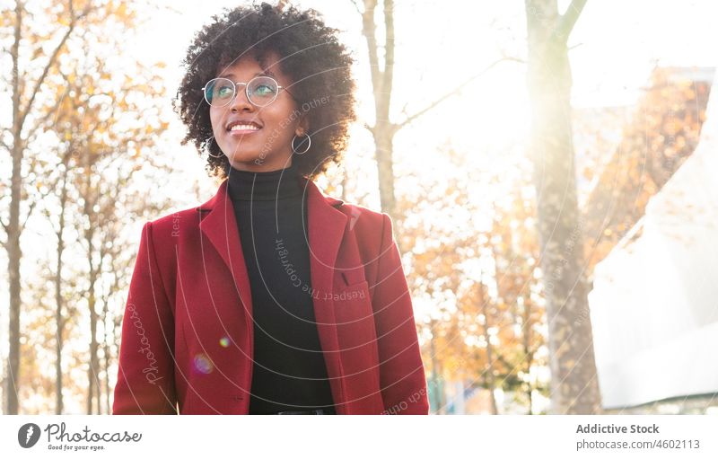 Positive schwarze Frau in karminroter Jacke und Rollkragenpullover im Sonnenlicht Park Herbst Afro-Look Lächeln Frisur krause Haare Vorschein Rollkragenpulli
