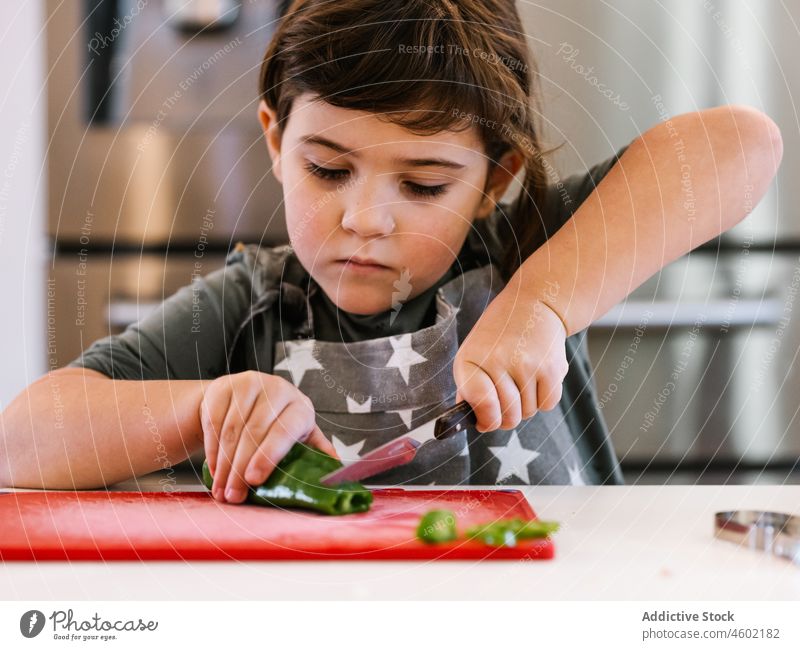 Kleines Mädchen schneidet grüne Paprika in der Küche Koch kulinarisch geschnitten Kind heimwärts heimisch Helfer Schürze Scheibe Messer selbstgemacht Gemüse