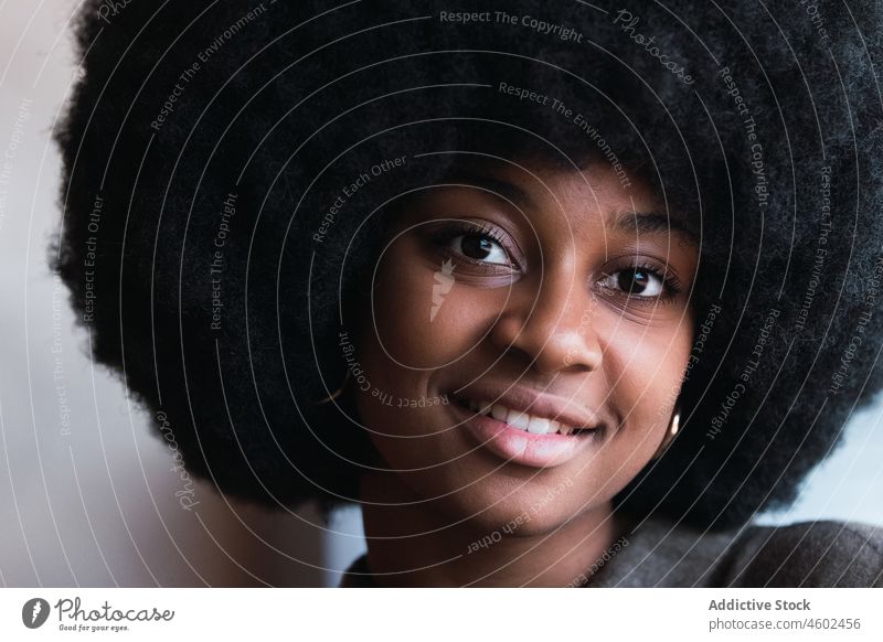 Positive schwarze Frau mit Afrofrisur Afro-Look Vorschein feminin Glück Frisur charmant brünett attraktiv Lächeln heiter Inhalt Stil froh positiv Dame