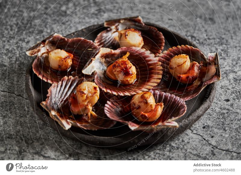 Köstliche Jakobsmuscheln in Muscheln auf einem Betontisch serviert Panzer Meeresfrüchte Ernährung lecker Lebensmittel Feinschmecker frisch Küche geschmackvoll