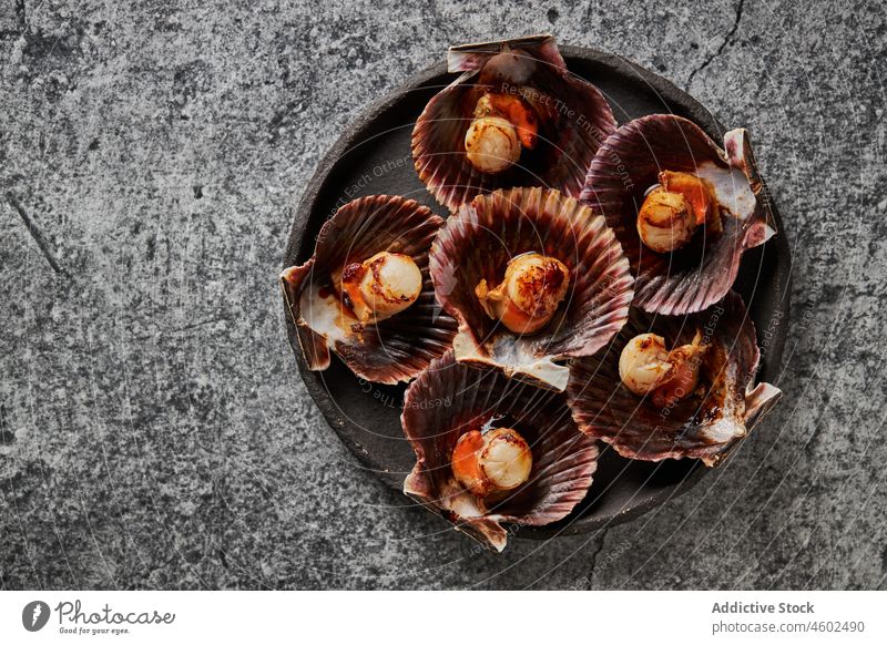 Köstliche Jakobsmuscheln in Muscheln auf einem Betontisch serviert Panzer Meeresfrüchte Ernährung lecker Lebensmittel Feinschmecker frisch Küche geschmackvoll