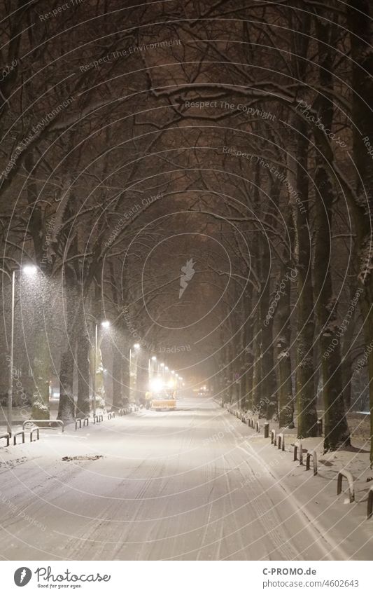 Wintereinbruch in Stadt Straße Fahrzeuge Laternen Licht Nacht schneebedeckt Scheinwerfer Winterreifen glätte Schneefall schneechaos Bäume Allee