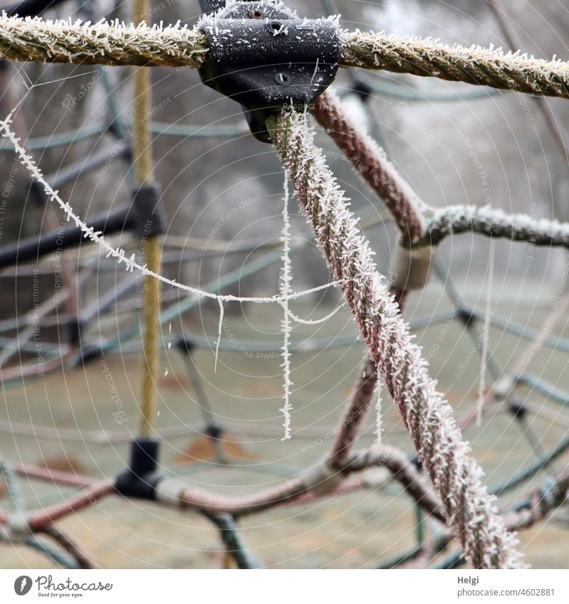 Schönheit im Auge des Betrachters | Detailaufnahme: Klettergerüst aus Seilen mit Spinnweben und Raureif Befestigung Spinngewebe Spinnfaden Eiskristalle gefroren