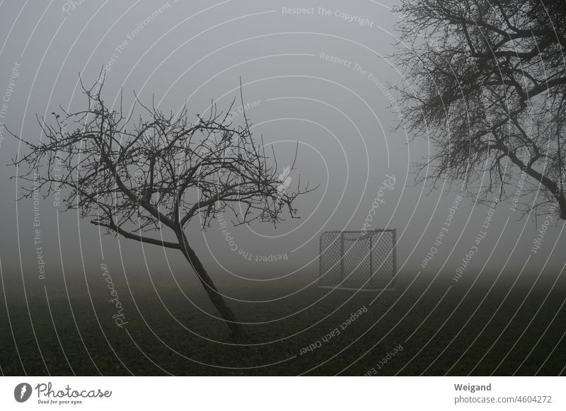 Fußballplatz im Nebel Düster Tor trist trostlos Herbst Winter unheimlich verlassen einsam