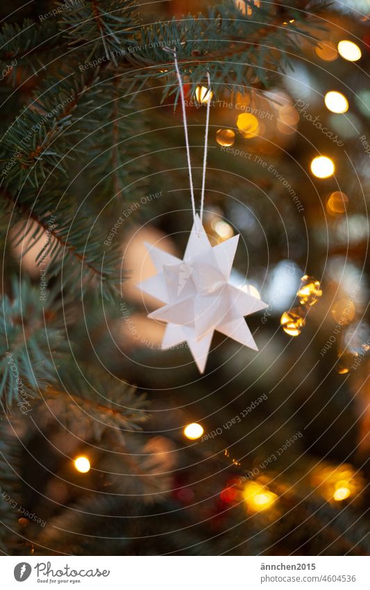 weißer Fröbelstern an einer weißen Schnur hängt im Tannenbaum Stern Weihnachten Baumschmuck Jahreszeit Winter Feste Feiern Lichter Lichterglanz menschenleer