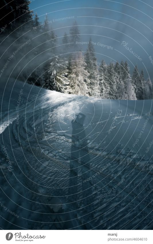 Schatten des Fotografen auf Schnee. Spuren der Antriebsraupen eines Schneemobils. Schneelandschaft kalt Frost einzigartig außergewöhnlich Winterurlaub natürlich