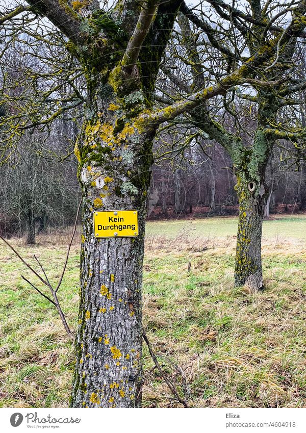 Baum an dem ein Schild mit der Aufschrift „Kein Durchgang“ hängt kein Durchgang Privatbesitz Verbote Natur Garten privatgrundstück