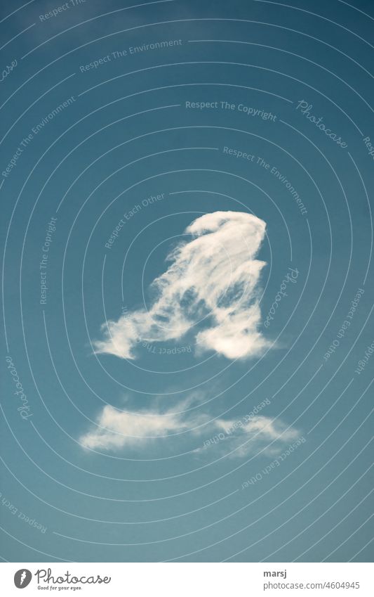 Ein Sahnehäubchen für das Schleckermäulchen willma. Wolke an blauem Himmel. Wolken Ruhe Hoffnung Stille Schönes Wetter Unendlichkeit Meditation Wohlgefühl