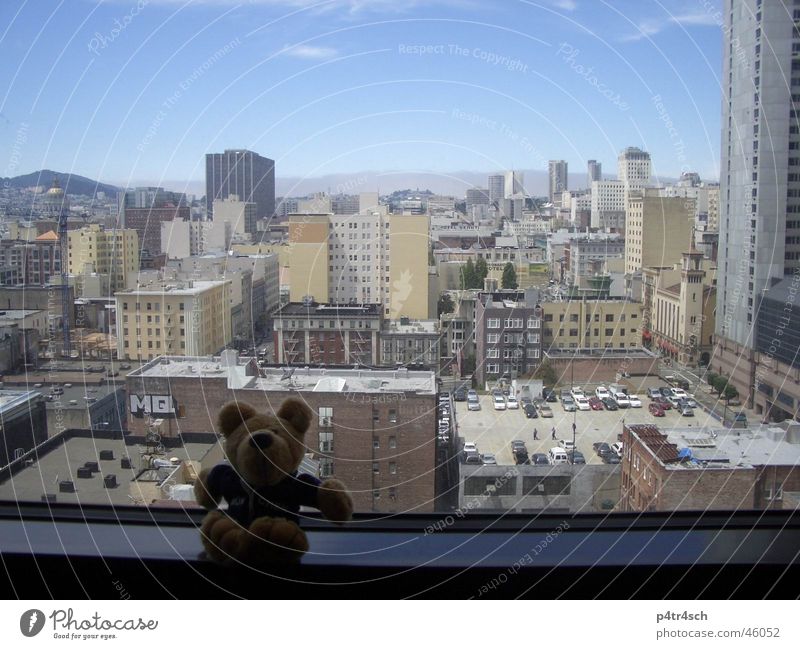 Bär auf Reisen Stofftiere Fenster Aussicht Hochhaus San Francisco Himmel Stadt blickaus dem renaissance hotel view skyskraper blue