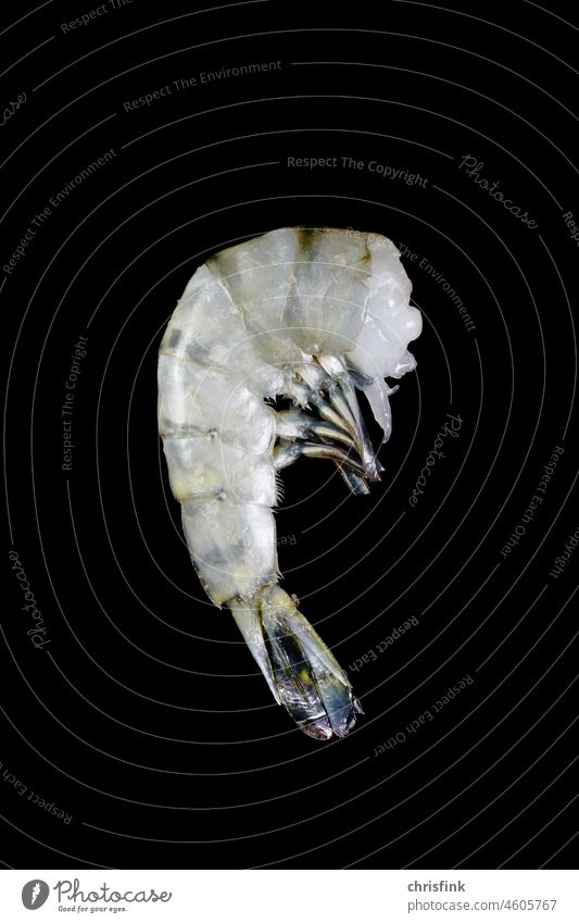 Garnelenschwanz vor dunklem Hintergrund garnele Riesengarnele meer Fisch Wasser Essen roh Meerestier Kochen Speise Reichtum Krabbe Krebs Shrimps Mahlzeit