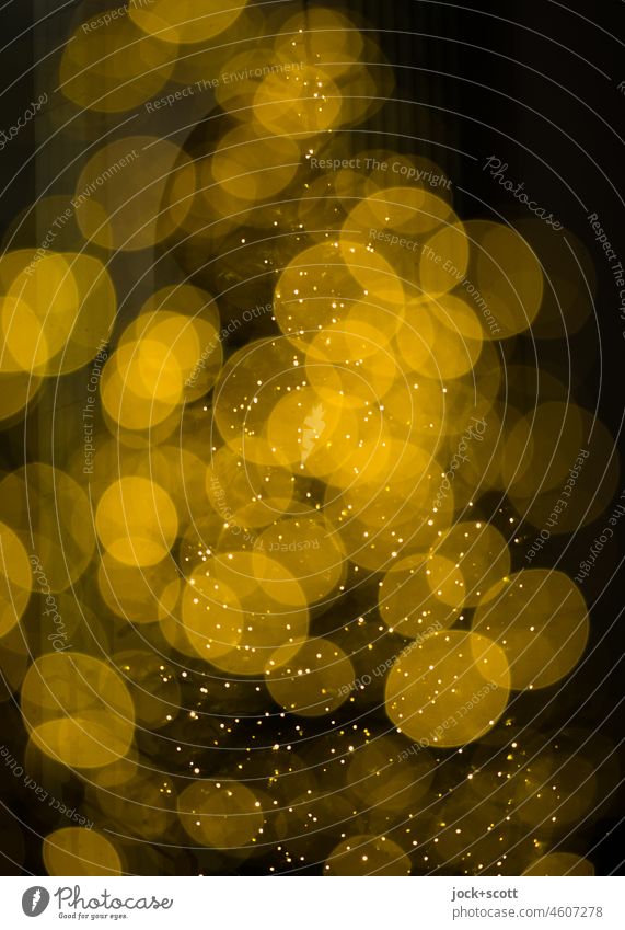 Alle Jahre wieder ist Weihnachten Weihnachten & Advent festlich Weihnachtsdekoration Weihnachtsbaum Bokeh Kunstlicht Tannenbaum Christbaum Heilige Nacht