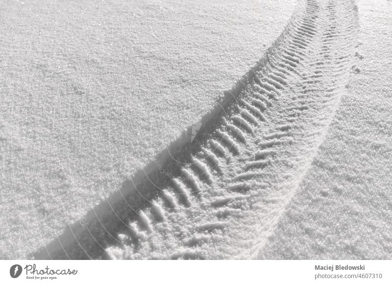 Winterreifenspur auf Schnee, selektiver Fokus. Reifen Mark Abdruck Sicherheit Saison Laufwerk Ausflug weiß Hintergrund Verkehr Natur Oberfläche im Freien kalt