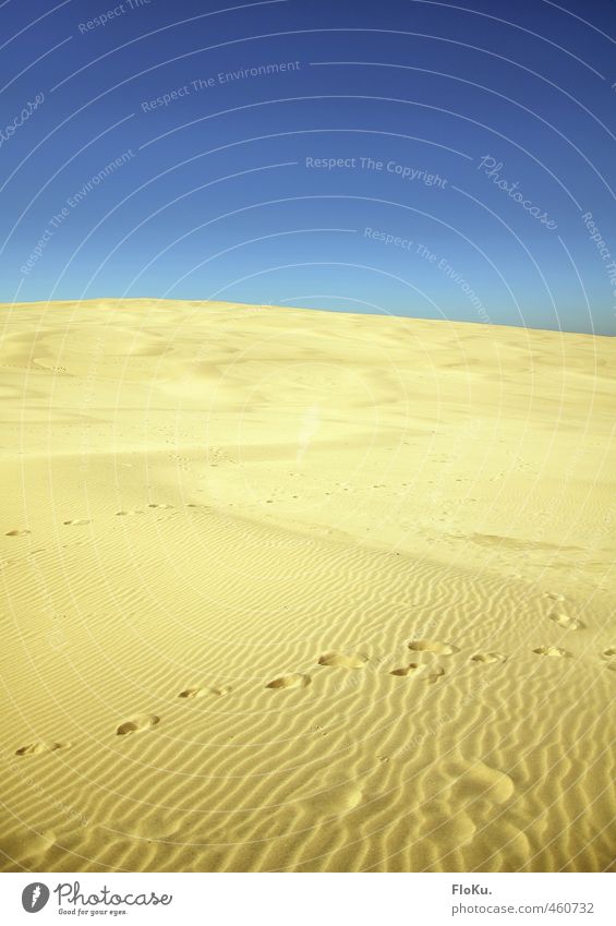 Einmal durch die Wüste, bitte! Ferien & Urlaub & Reisen Tourismus Ausflug Abenteuer Ferne Sommer Sommerurlaub Sonne Umwelt Natur Landschaft Urelemente Erde Sand