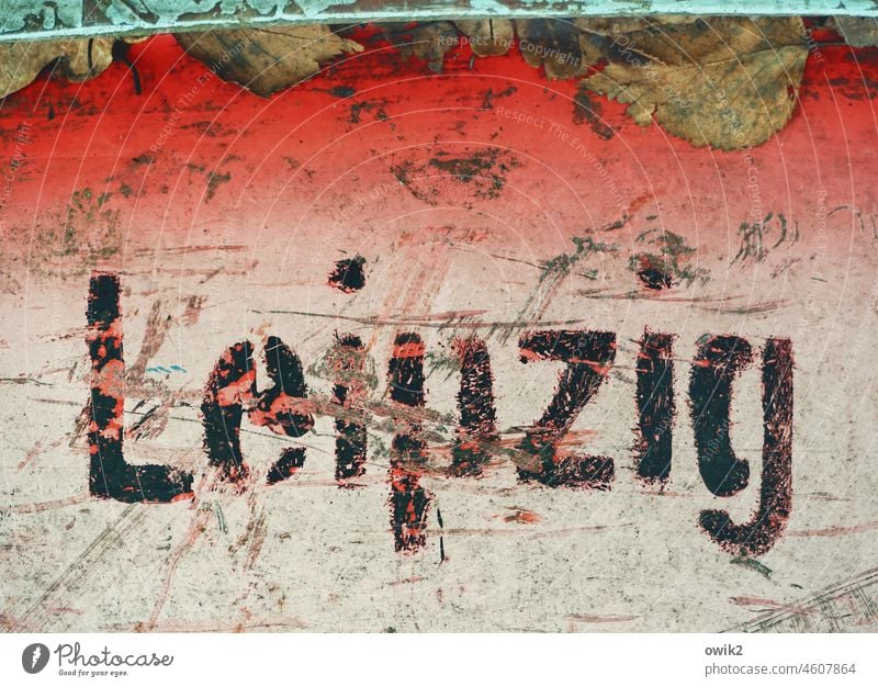 Allerlei Detailaufnahme Leipzig Aufschrift Name Buchstaben Typographie Schriftzeichen Text Wort Information Mitteilung Hinweis Markierung Menschenleer Farbfoto