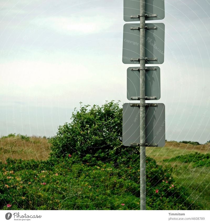 Vier Verkehrsschilder - rückseitig keine besonderen Hinweise 4 Stange Metall Rückseite Befestigung Dünen Himmel Wolken Buschwindröschen grün blau grau Dänemark