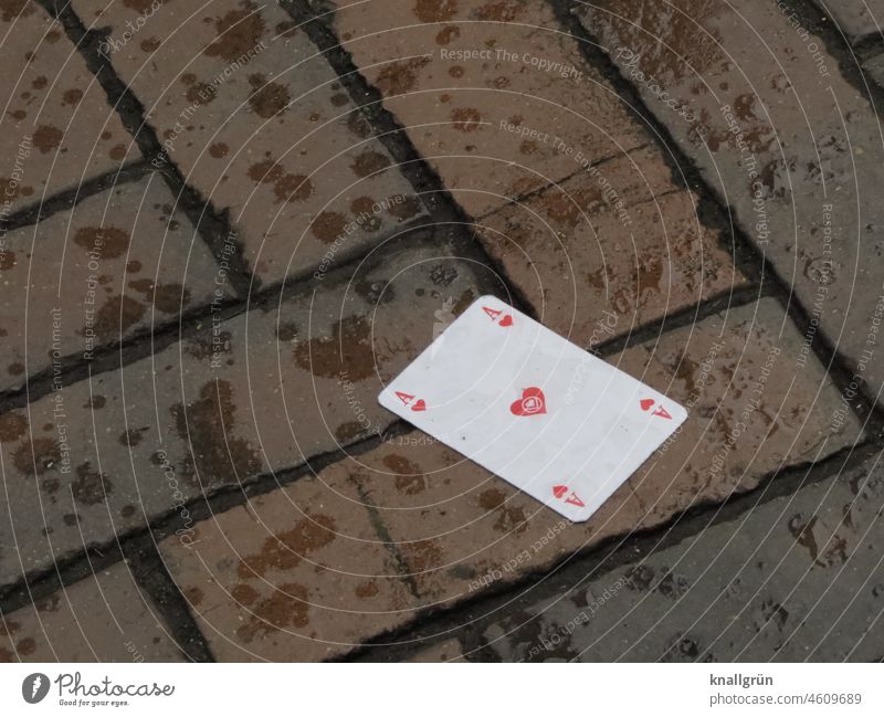 Herz As Spielkarte Symbole & Metaphern Liebe Zeichen Deutung Rechteck herzförmig Bedeutung Farbfoto Kartenspiel Spielfarbe rot weiß Nahaufnahme Außenaufnahme