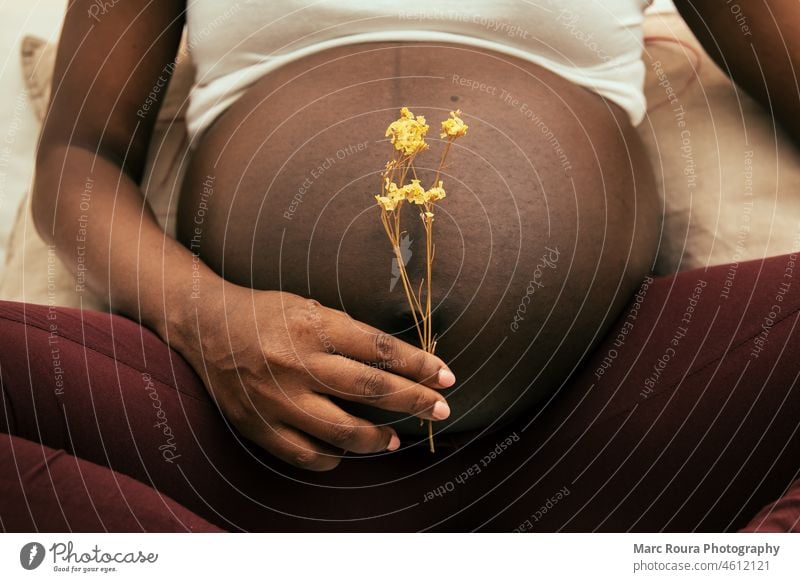 Schwangere Frau hält sich eine Blume vor den Bauch Erwachsener afroamerikanische Frau Baby Hintergrund Schlafzimmer Bauchbild schwarz Pflege Kind Nahaufnahme