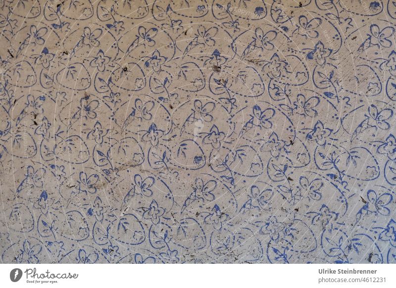 Altes Tapetenmuster in verlassenem Bauernhaus in Ungarn Muster Wandverkleidung Dekoration alt zerfallen Dekoration & Verzierung retro Strukturen & Formen