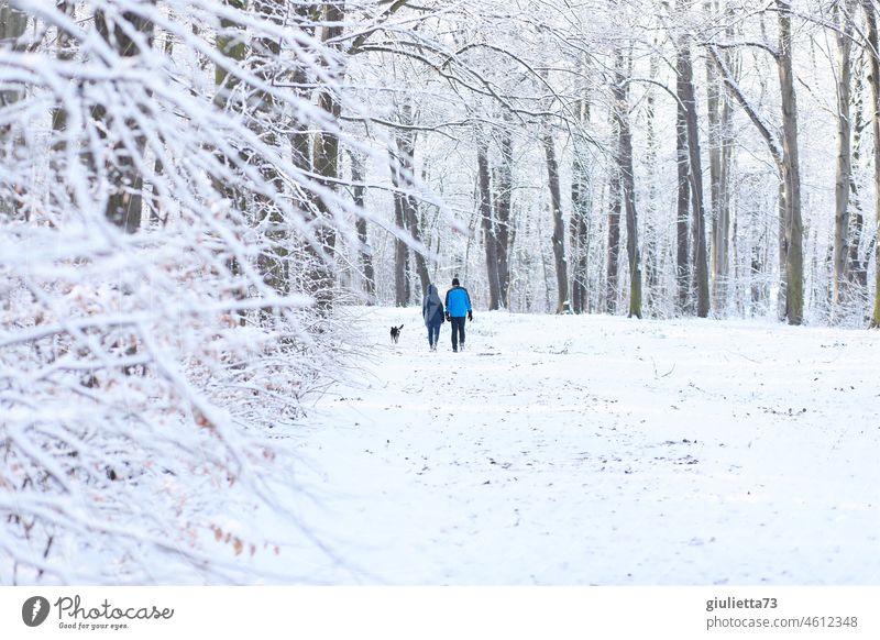 Paar mit Hund beim Winterspaziergang durch verschneiten Winterwald Winterstimmung Wald Park Bäume Allee Stadtpark Küchwald Schneefall schneebedeckt Dezember
