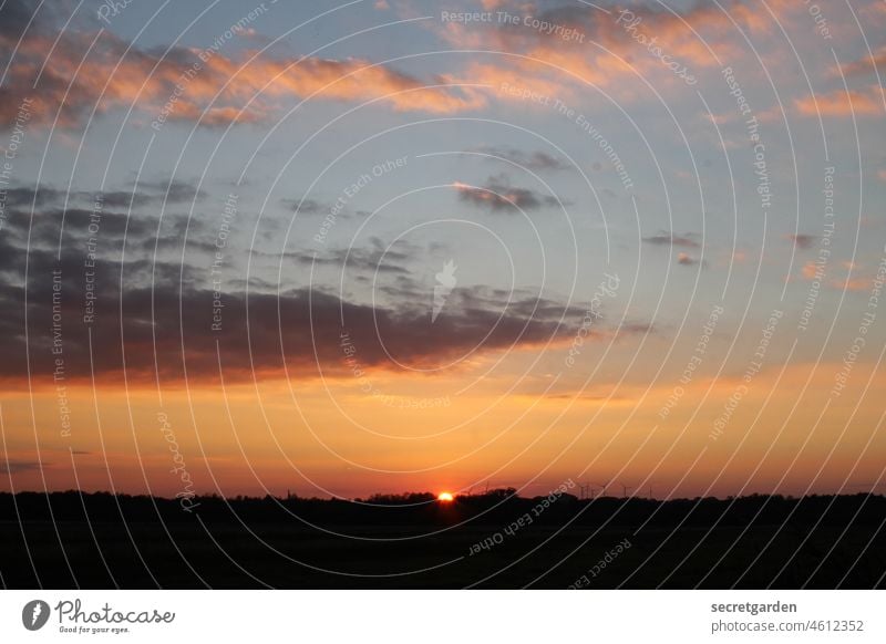[Teufelsmoor 2021] der richtige Augenblick Sonnenaufgang Sonnenuntergang kitschig Natur Himmel Außenaufnahme Farbfoto Menschenleer Landschaft Dämmerung Wolken