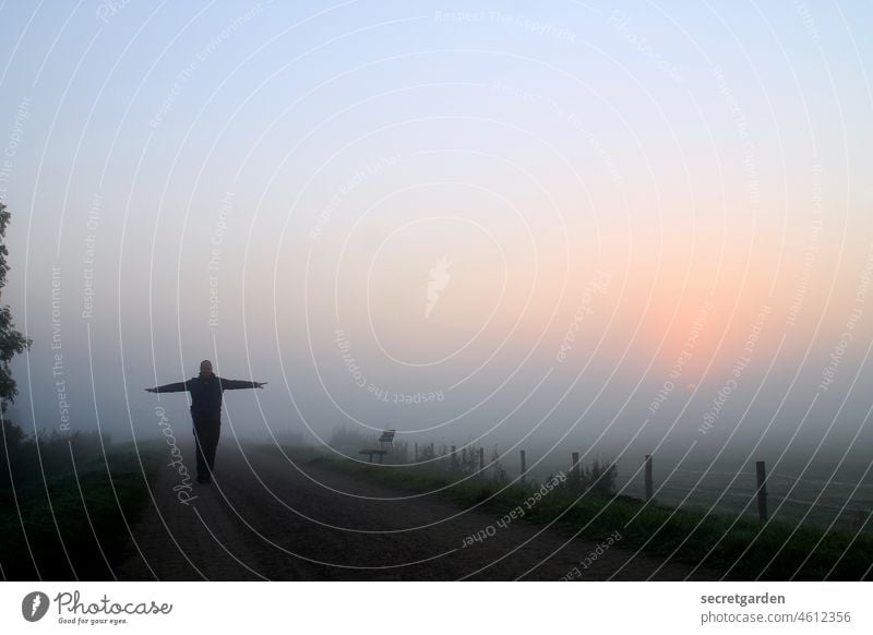 [Teufelsmoor 2021] Auf dem rechten Pfad sein Nebel Nebelstimmung Nebelbank Nebelschleier Mann Gestalt dramatisch Außenaufnahme Natur Nebelwald Nebelmeer