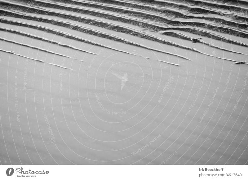 Die Flut kommt an der Nordsee Schwarz-Weiß Spuren Gezeiten Tag Tageslicht Wellen Abdrücke Küste Struktur Wattenmeer Muster nass Ebbe Strand Natur Sand