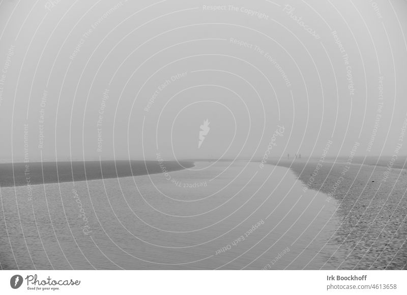 Menschen am Horizont bei nebligem Wetter auf Rømø Idylle ruhig trist Insel Ferne Ziel Deutschland Naturschutzgebiet Schwarzweißfoto Ufer Umwelt Morgen
