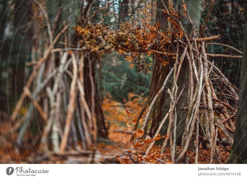 Tor aus Ästen gebaut im Wald an Bäumen im Herbst mit Tilt Effekt Waldweg Unschärfe Laub Weg Wege & Pfade Natur Baum Umwelt Spaziergang Menschenleer