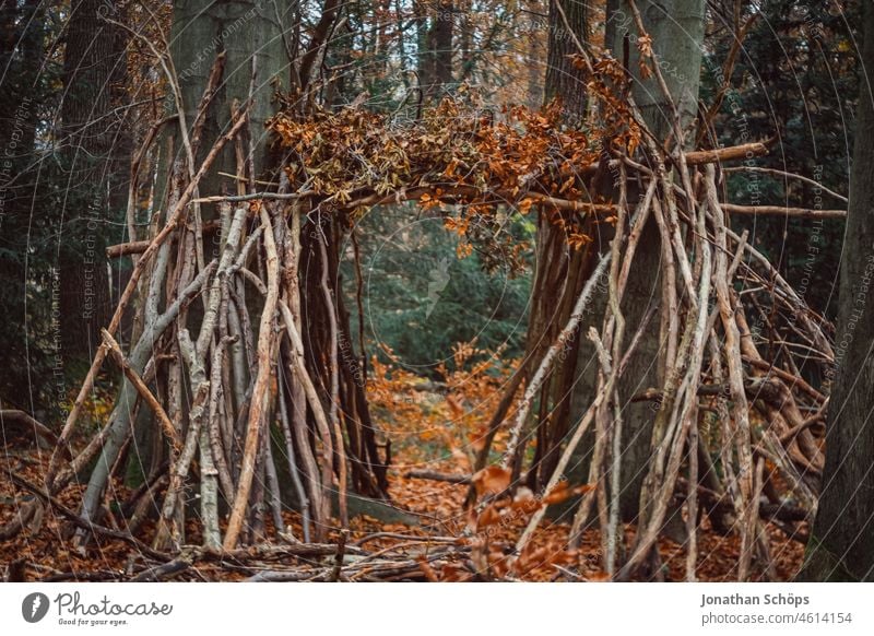 Tor aus Ästen gebaut im Wald an Bäumen im Herbst Waldweg Tilt Effekt Unschärfe Laub Weg Wege & Pfade Natur Baum Umwelt Spaziergang Menschenleer Außenaufnahme