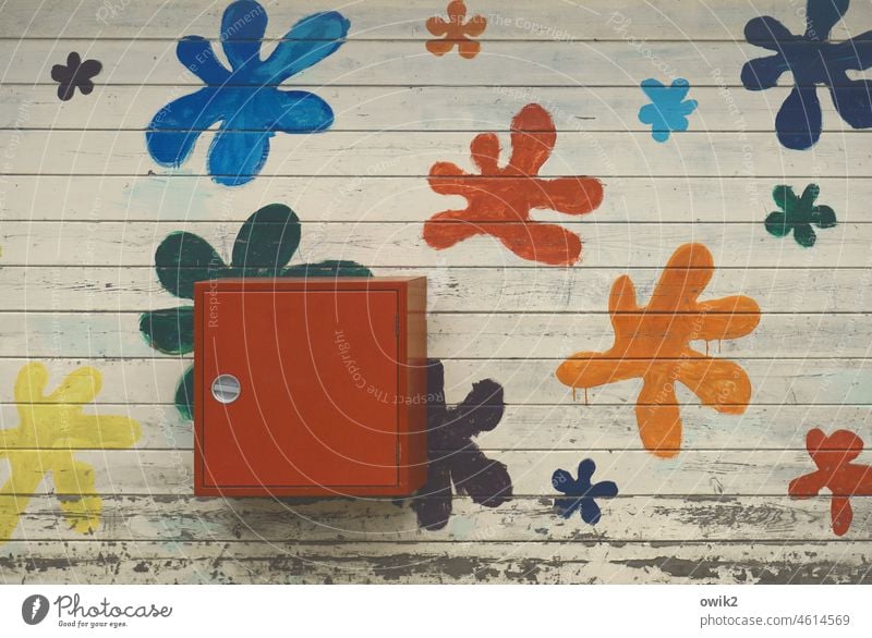 Fröhliche Einzeller Wand Holz Bretter Bretterwand bemalt Amöben bunt kindlich mehrfarbig farbenfroh Bemalung Farben rot orang blau gelb türkis fröhlich Kasten