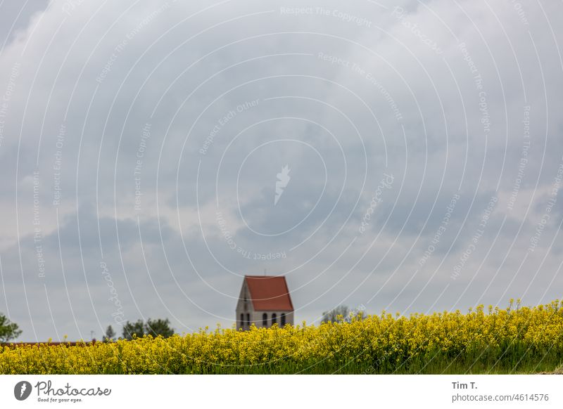 hinter einem Rapsfeld sieht man einen Kirchturm Kirche Feld Frühling Brandenburg Himmel Wolken gelb Landschaft Natur blau Außenaufnahme Umwelt Landwirtschaft