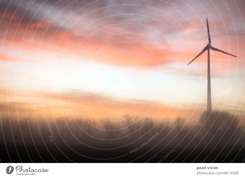Windrad bei Sonnenaufgang Windkraftanlage Himmel Landschaft Nebel schemenhaft Erneuerbare Energie Umwelt alternativ umweltfreundlich Waldrand Ressource Baum