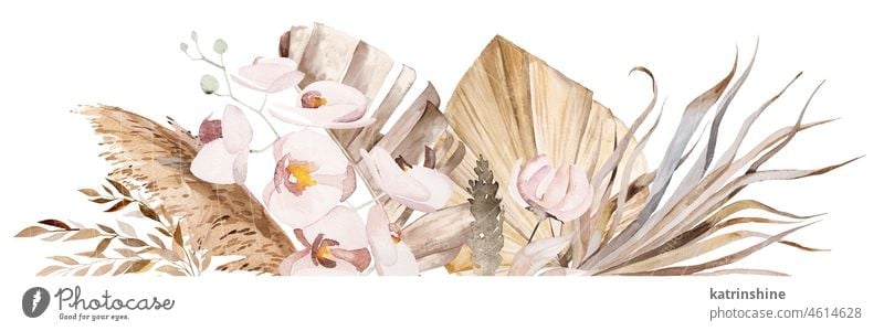 Aquarell böhmische Grenze mit getrockneten Blättern und tropischen Blumen Illustration botanisch Dekoration & Verzierung exotisch Laubwerk handgezeichnet