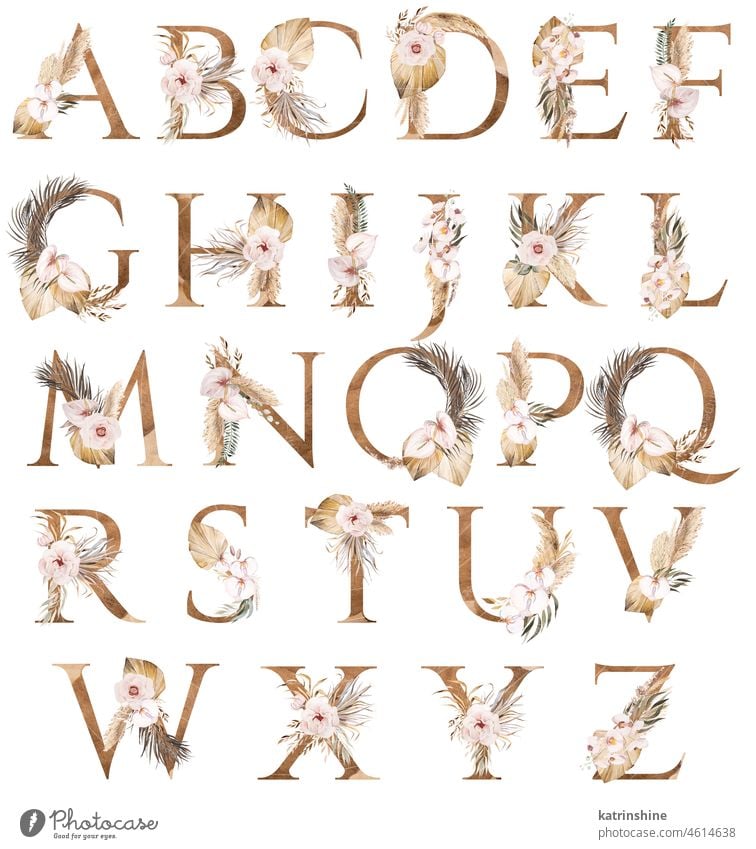 Aquarellbuchstaben mit getrockneten Blättern und tropischen Blumen verziert, böhmisches Alphabet Illustration botanisch Charakter Dekoration & Verzierung