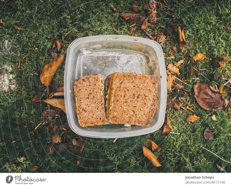 Brotbüchse auf Waldboden im Herbst Büchse Aufbewahrung Essen Mahlzeit draußen Outdoor Wanderung Proviant Waldwanderung Wandern Natur wandern Außenaufnahme