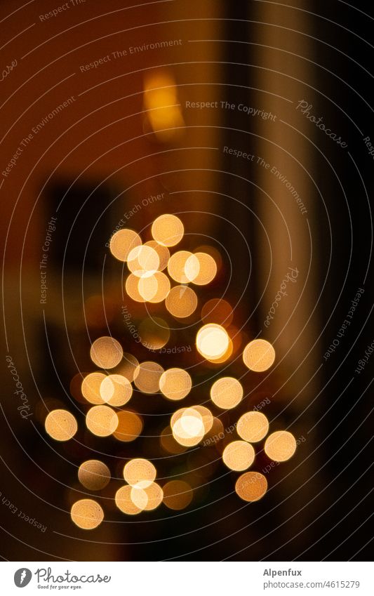 Licht und Schatten Lichterscheinung Lichterkette Weihnachten & Advent Farbfoto Unschärfe leuchten Feste & Feiern Weihnachtsbeleuchtung Weihnachtsdekoration