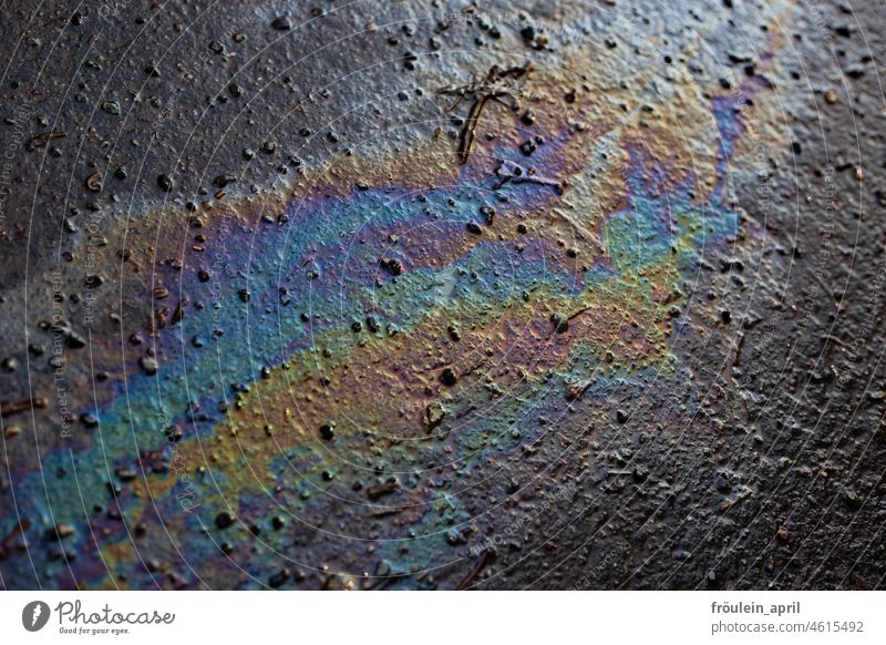 Ölbild II | Öl schillert in allen Farben auf dem Weg Ölfleck Umweltverschmutzung Umweltschutz Farbfoto schillernd Verschmutzung Asphalt Ölspur Farbenspiel