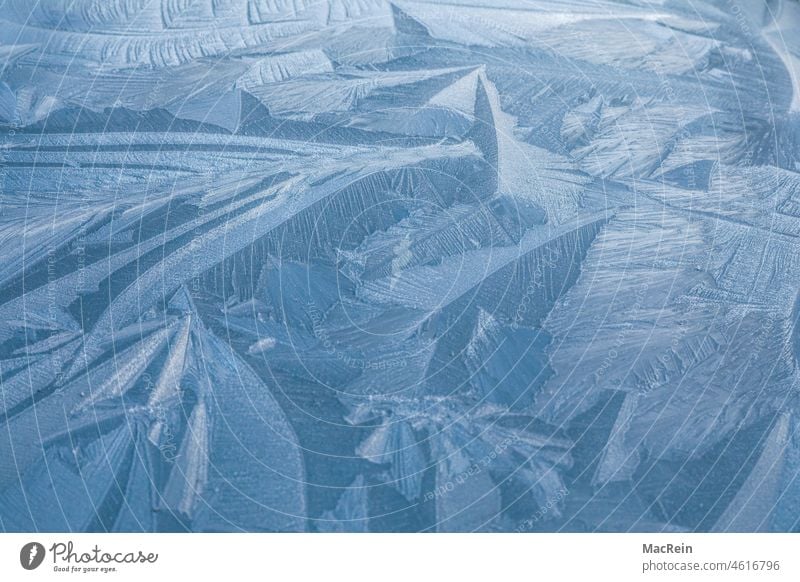 Autohaube mit Eiskristallen bedeckt Außenaufnahme Eisblume Farbaufnahme Filigran Fotografie Frost Gefroren Kalt Natürliches Muster Nahaufnahme Niemand Tag