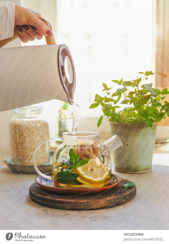 Gesunder Tee mit Zitrone, Ingwer und Minze in gläserner Teekanne auf dem Küchentisch mit Kräutern Gesundheit Glas Teedose Tisch Küchenkräuter Fenster