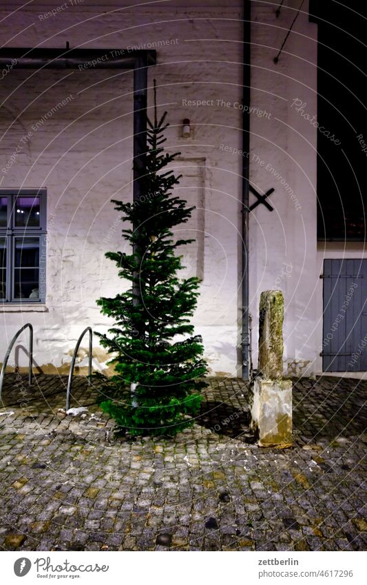 Wolgast, Weihnachtsdekoration abend fenster hanse hansestadt haus kleinstadt mecklenburg schaufenster vorpommern wognhaus wolgast dunkel gasse haus gebäude