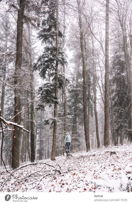 Mensch im Winterwald Wald Bäume Baumstumpf Frau stehen schauen kalt winterlich verschneit Schnee schneebedeckt Wintertag Winterstimmung weiß Kälte