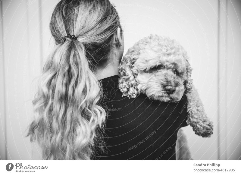 Mädchen mit Hund auf dem Arm Hund Cockerpoo Haustier Freundschaft Glück niedlich Zusammensein Fröhlichkeit Lifestyle Liebe schön heiter Besitzer