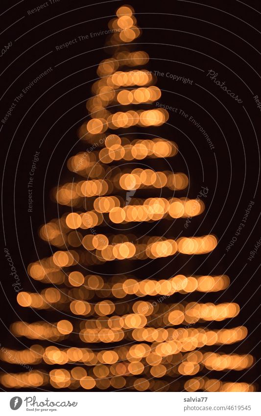 Lichterbaum Illumination Weihnachten & Advent Beleuchtung Lichterkette Weihnachtsbeleuchtung Weihnachtsdekoration Dekoration & Verzierung leuchten Abend